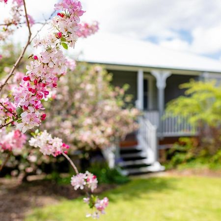 Apple Blossom Cottage Stanthorpe Eksteriør bilde