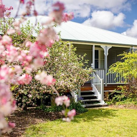 Apple Blossom Cottage Stanthorpe Eksteriør bilde