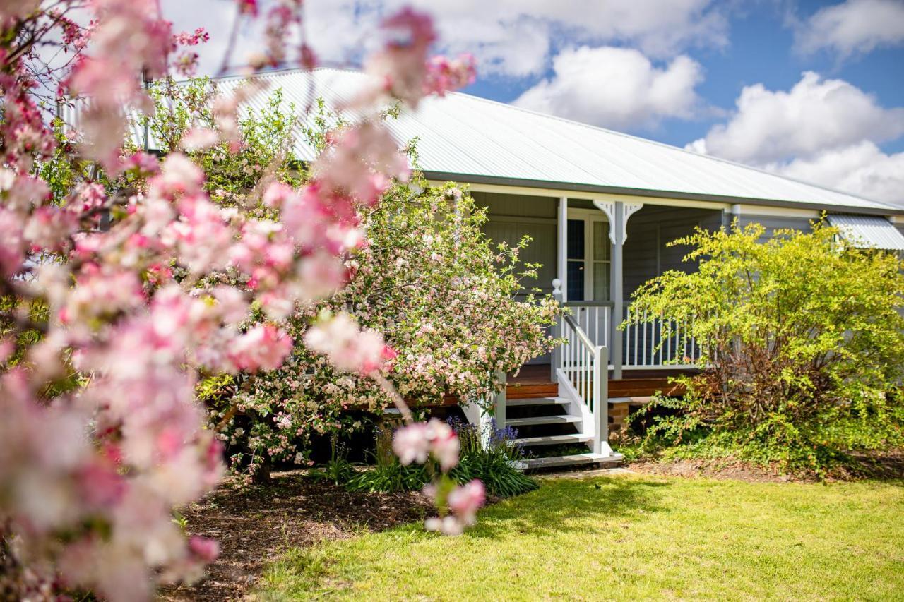 Apple Blossom Cottage Stanthorpe Eksteriør bilde