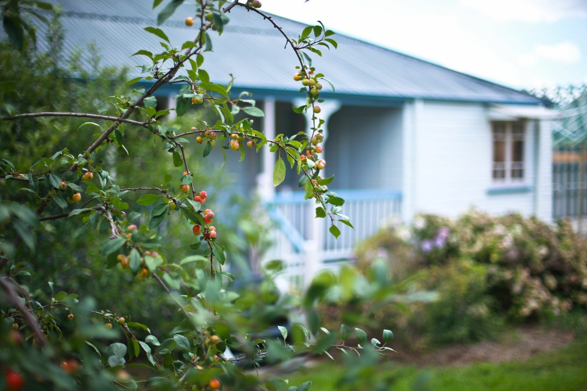 Apple Blossom Cottage Stanthorpe Eksteriør bilde